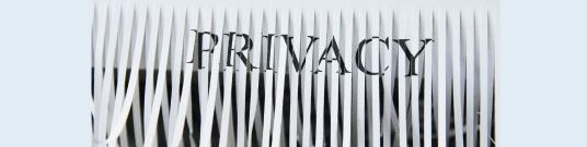 Shredded paper with the word privacy